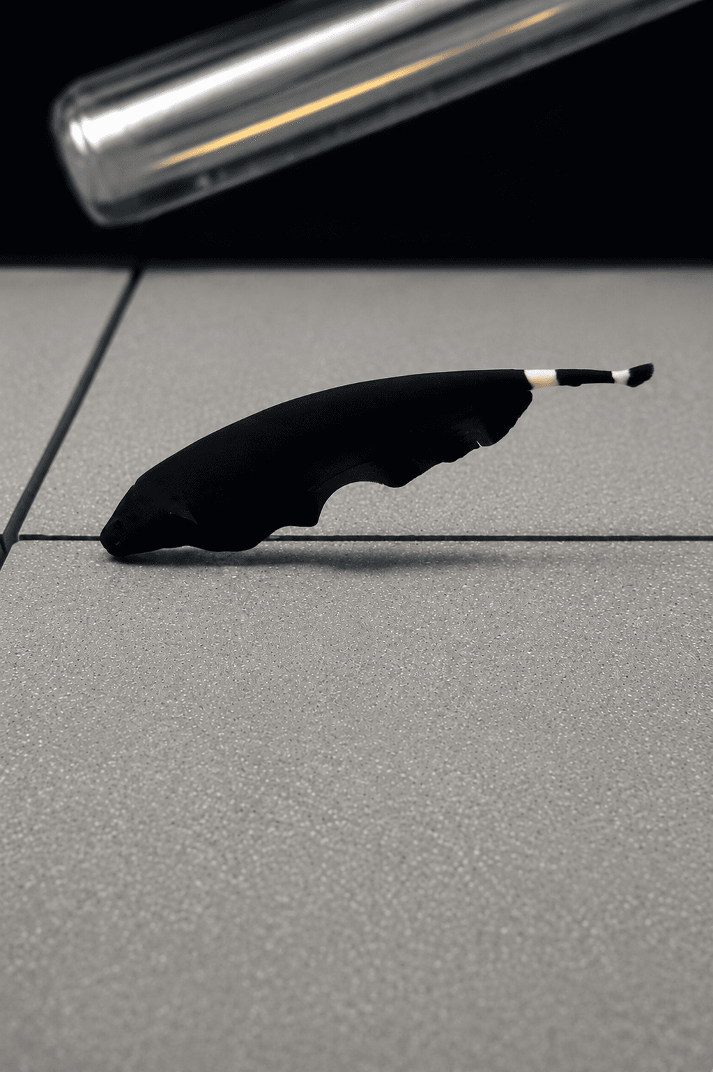 Black Ghost Knife